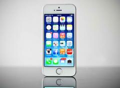 ԽԽãƻΪʲôҪߴiPhone