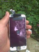 iPhone 6L���ع⣺��ظߴ�2915����