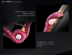 247������ֻ� ��ǿ��˵˭����������