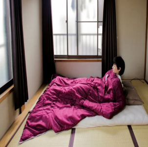 日本极简主义者的家到底是什么样的