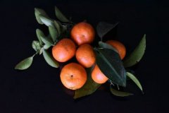 ���±��ǽ�