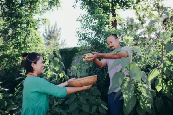 北漂夫妻租郊区小院 过何炅都向往的生活