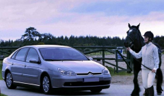 C5����������۾� ���������˵�ͷ�桰������