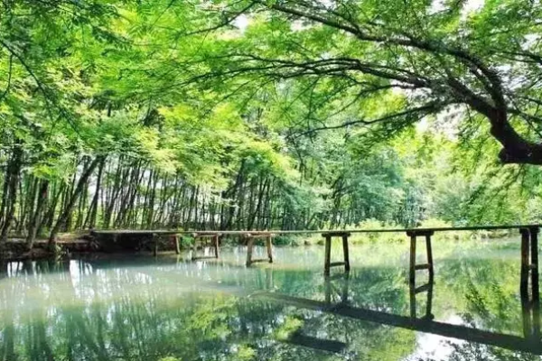 夫妇退休后回村 爆改“徽派”美宅惊动镇长