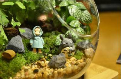 少女游遍世界打工赚了座山 屋子美得像童话