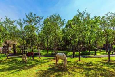 Ůϰ庼ݽ40Ķλׯ԰ ˲