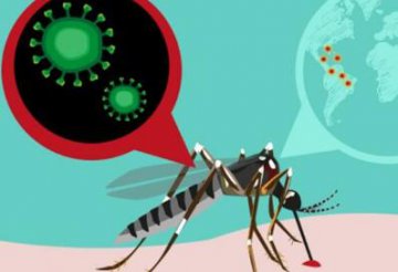 ӡ�� կ������   ����Ļ����������𡱣�