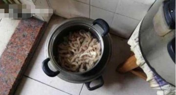 �˳��񼦳�   �����������ѣ�ĪҪ��Ҫ̰С���ˣ�����������