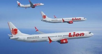 ӡ��ʨ������׹��    Ŀǰ�ѱ�֤ʵ��һ������