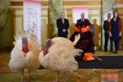 �ж������˻�     ����������ͳ����