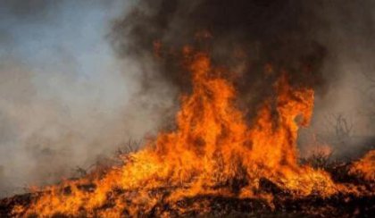 �������ݱ����ɭ�ִ�������ϣ��