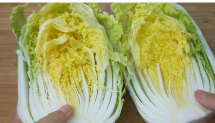 ����Բ�������ײ��䷽