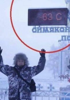 �������������� ����52��      ��������ȫ��