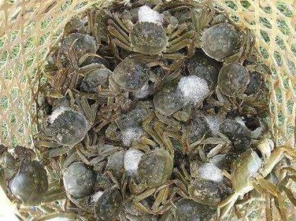 ���Ի�������11���зһ���� �������룡