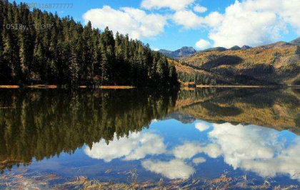 ��ҵ��˳�ģ���Ϊ��è��������������ӭ�ж���