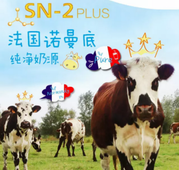 �����̷����а�10ǿ�����������µĺǻ����̷�