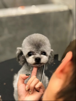 гų˴㲻һľϲ