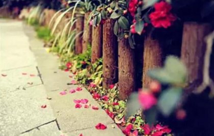 һ����Ҫȥ����һ��