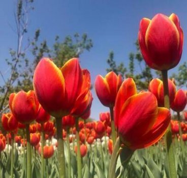 ������10���������㱻���ȡ��� ��ũ:��ũ���������ѹ�