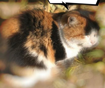 ��֪����˯̫��Ҳ���ܻ�Ӱ�����