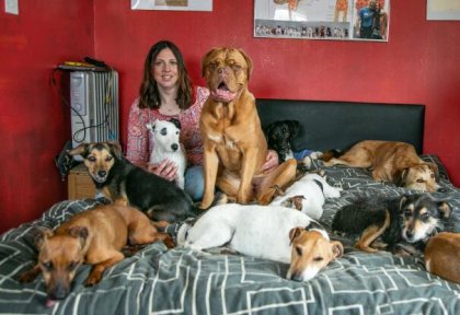 ӢŮ���ڼ�����22ֻ�Ѿ�Ȯ