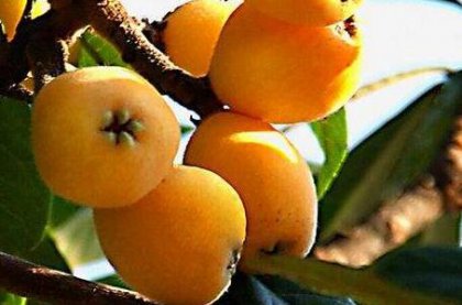 ���˸ಢ��ֹ�Ȼ�̵,����Ӧ����ô��