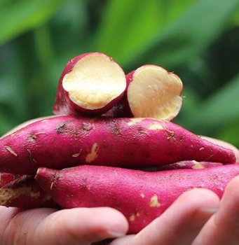 ����θ�ۣ��ٳ���Щ����