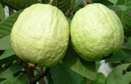 ��ʯ����ô������������ô������������