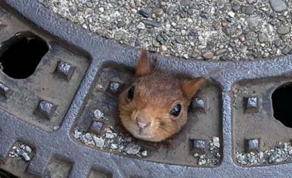 �¹�С�����Դ���������   �Ѿȳ�������ҽԺ