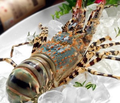 �������ųԵ�Ϻ��������һ�֣�