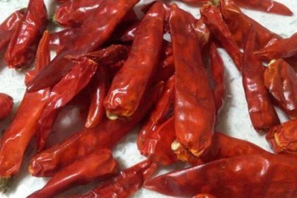 ���������һ�ڲ��Ե��ˣ�˭�������������