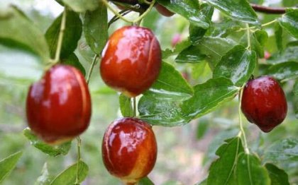 ҽ�����ѣ��Ժ����֪��7�����