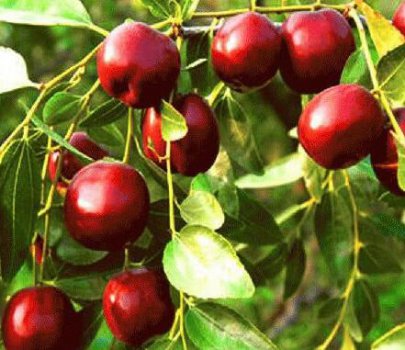 Ů�˳Ժ��棬��4��ʱ��㲻Ҫ�ԣ��������