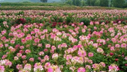 喜欢和孩子沟通,这些星座和孩子沟通有技巧,射手座排第二