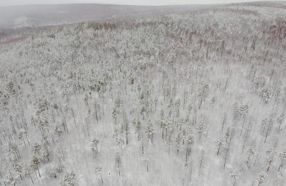 黑龙江漠河迎降雪 大地如