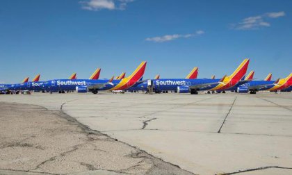 737Max⣬CEOβ
