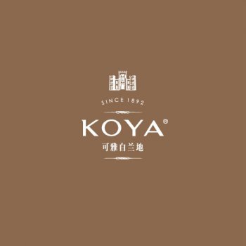 koyaؿŰ ƽγ37XO
