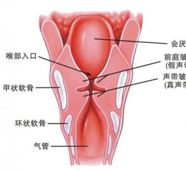ļʺ.Ȭ
