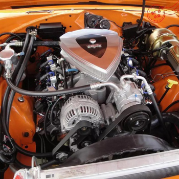 2019�й���ʮ�ѷ��������������