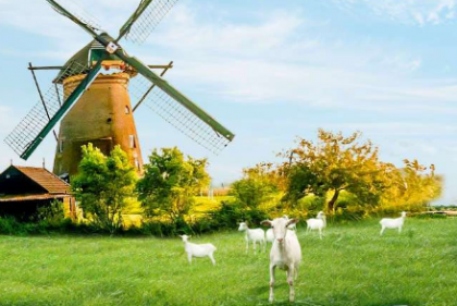 羊奶粉排行这么多,你还不会选?