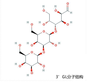 3��GL��ʲô��TA������Ӥ���̷��·���