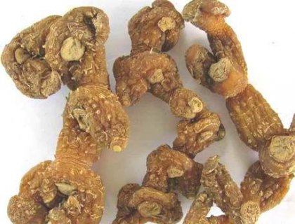 ��Ͷ��Ҳ�ܴ������棬���˺����ð�ܸ���ƾ�����������ֲ