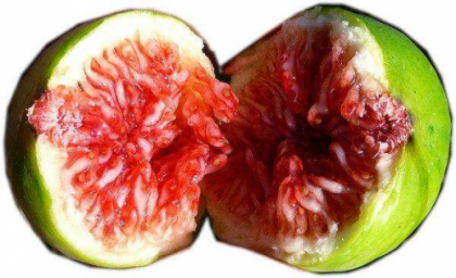 Ҽ�������޻����ı�������