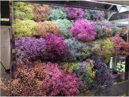 流星花园花店连锁加盟:打造出专属于自己的财富空间!