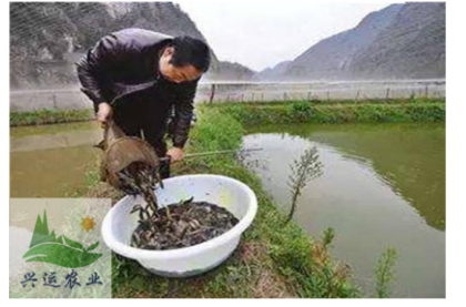 ��������ũҵ�Ƽ����޹�˾ ������ֳͶ����������
