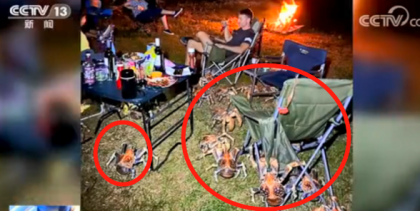 ��ͥ�տ�ʱ����50��ֻ���з �����зƷ�ֺ�ϡ���ǹ��ұ�������