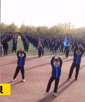 ��ѧ���μ������ػ��裬�貽�������������뻮һ��ʮ��������