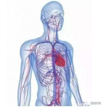 ��HGH����ȫ���Կ��� ��˥���ĺɶ��ɻ������