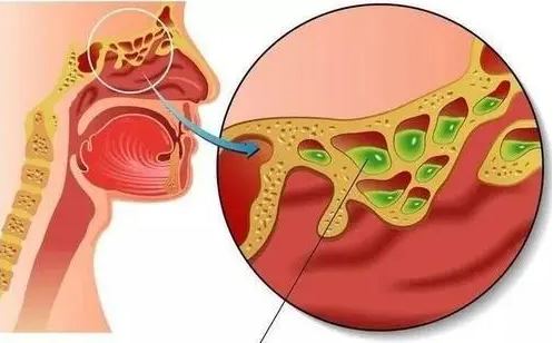 1609316067973710.png 2.png