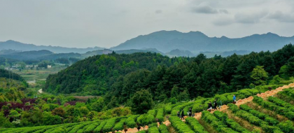 ҵƶկƶ԰կСǧʵƶ